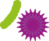 Grüne und pinke grafische Darstellung eines Krankheitserregers